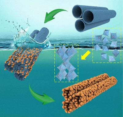 NML综述|“水助法”低温结晶二氧化钛纳米管